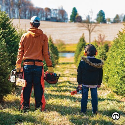 Before you head to the lot or store to pick out this year’s tree, you must be certain of where you want to place the tree and the space available.