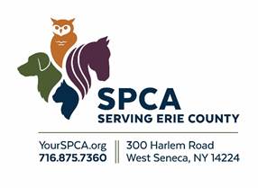 The SPCA Serving Erie County will kick off two speaker series in 2020.