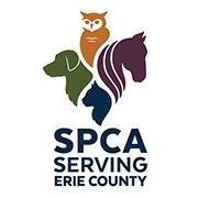 To help reach the adoption goal of 18 off-site animals adopted in four days, the SPCA Serving Erie County is taking half off the adoption fees of off-site kittens and cats five months and older, and all other small animals of any age.