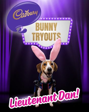 Lieutenant Dan has won the hearts of America and is the winner of the 2020 Cadbury Bunny Tryouts. Photo courtesy of PRNewsfoto/Cadbury.