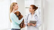 If you discover your pet needs a medication, you have options for managing the expense.