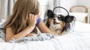 Research shows that more than one in seven dogs in the U.S. suffer from separation anxiety.