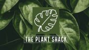 The Plant Shack is located at 437 Buffalo Road, East Aurora.