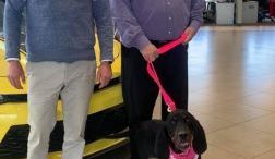 Pictured is Mona the shelter dog on her trip to Basil Family Dealerships.