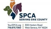 Vets & Pets begins Monday, May 24 and runs through Monday, May 31 at the SPCA’s 300 Harlem Road, West Seneca shelter and all SPCA offsite adoption locations.