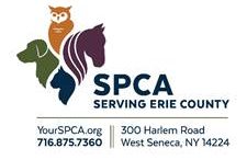 Vets & Pets begins Monday, May 24 and runs through Monday, May 31 at the SPCA’s 300 Harlem Road, West Seneca shelter and all SPCA offsite adoption locations.