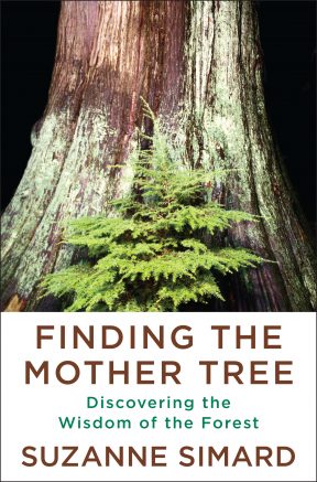 The Western New York Land Conservancy is thrilled to host Dr. Suzanne Simard, author of the memoir Finding the Mother Tree, for a livestreamed virtual event on June 16.