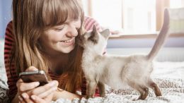 A new cat will likely be nervous at first. Give them time to become accustomed to their surroundings without rushing them or pushing them to be affectionate.