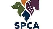 Candidates will be interviewed for various job openings at the SPCA.