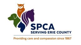 The SPCA Serving Erie County dubbed 2022 the Summer of Love.