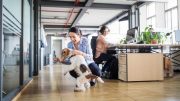 More than half of employees who want pet-friendly office policies are willing to spearhead such efforts.