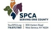 The SPCA will host a speed dating event later this month!