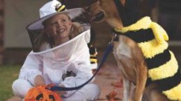 Make Halloween a real treat for pets and ensure they stay safe and happy.